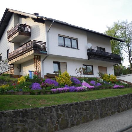 Pension Haus Ludwig ショッテン エクステリア 写真