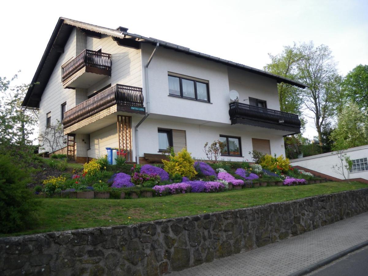 Pension Haus Ludwig ショッテン エクステリア 写真