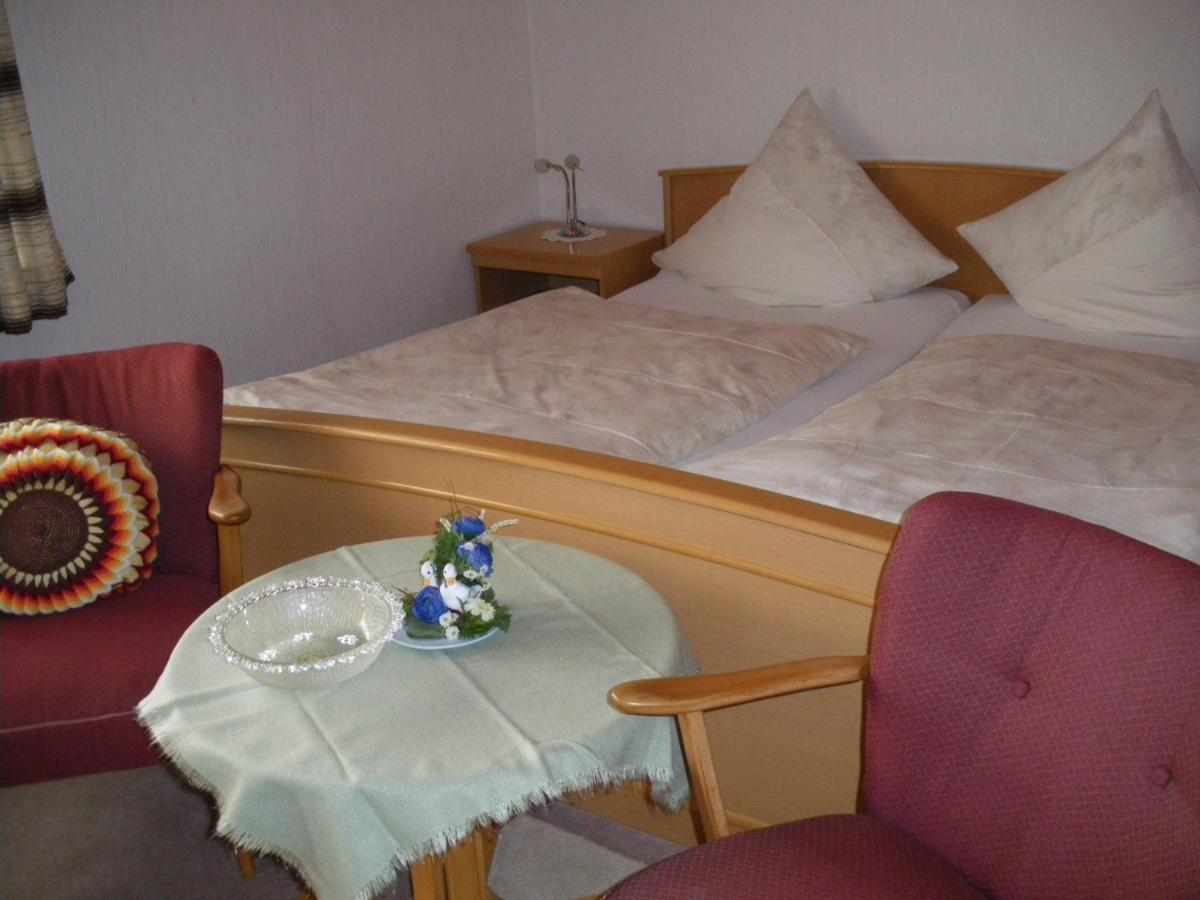 Pension Haus Ludwig ショッテン エクステリア 写真