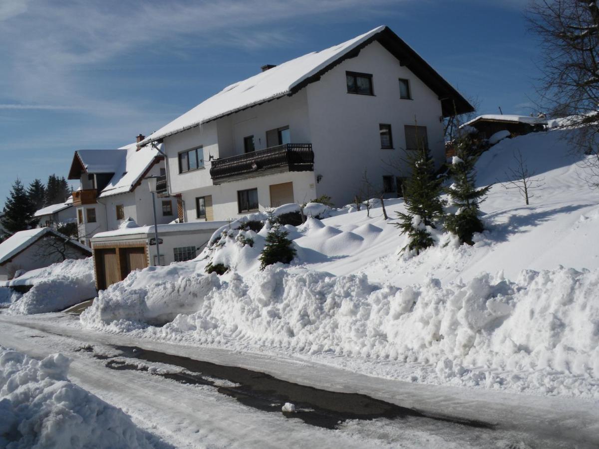 Pension Haus Ludwig ショッテン エクステリア 写真
