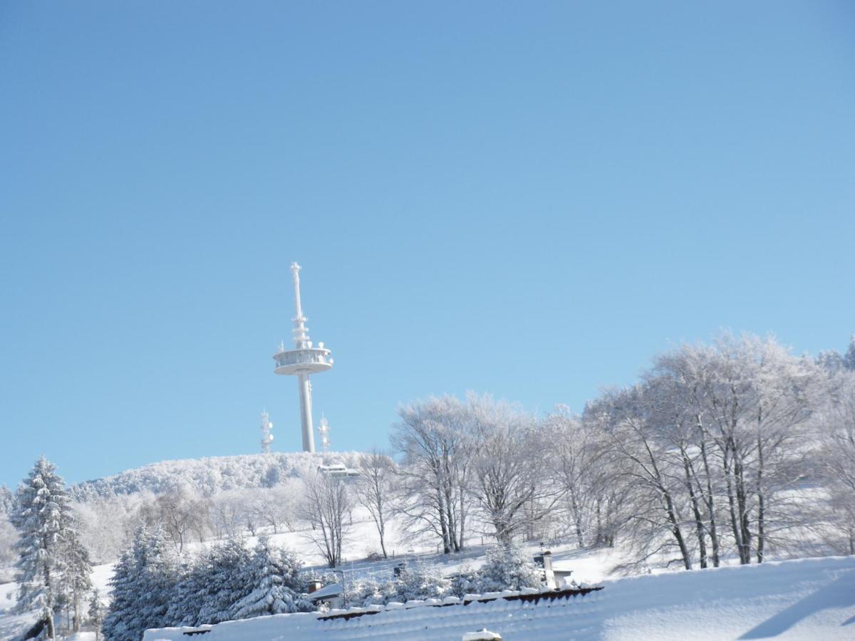 Pension Haus Ludwig ショッテン エクステリア 写真