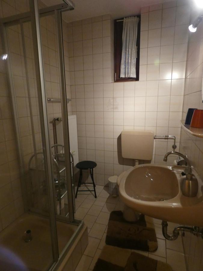 Pension Haus Ludwig ショッテン エクステリア 写真