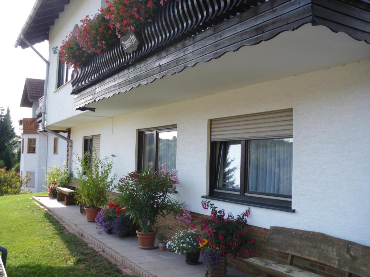 Pension Haus Ludwig ショッテン エクステリア 写真