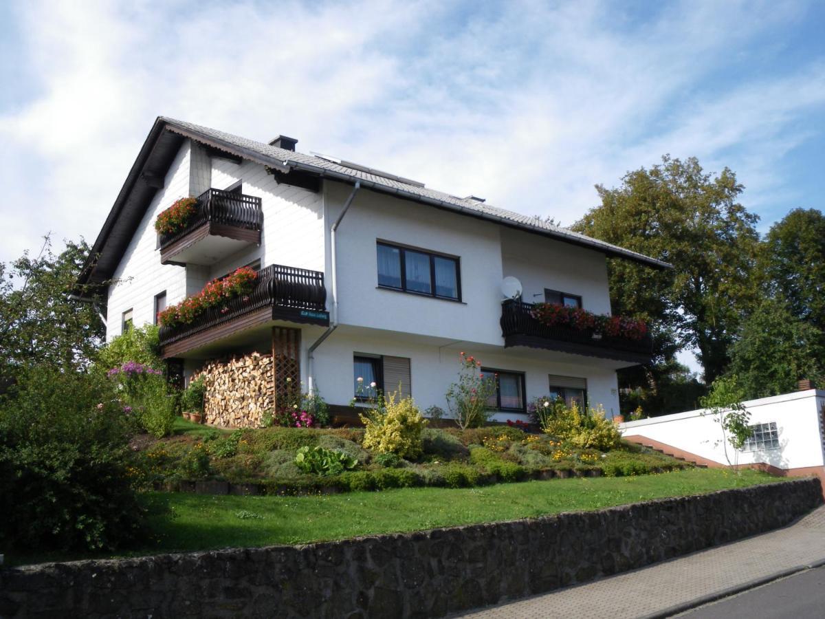 Pension Haus Ludwig ショッテン エクステリア 写真