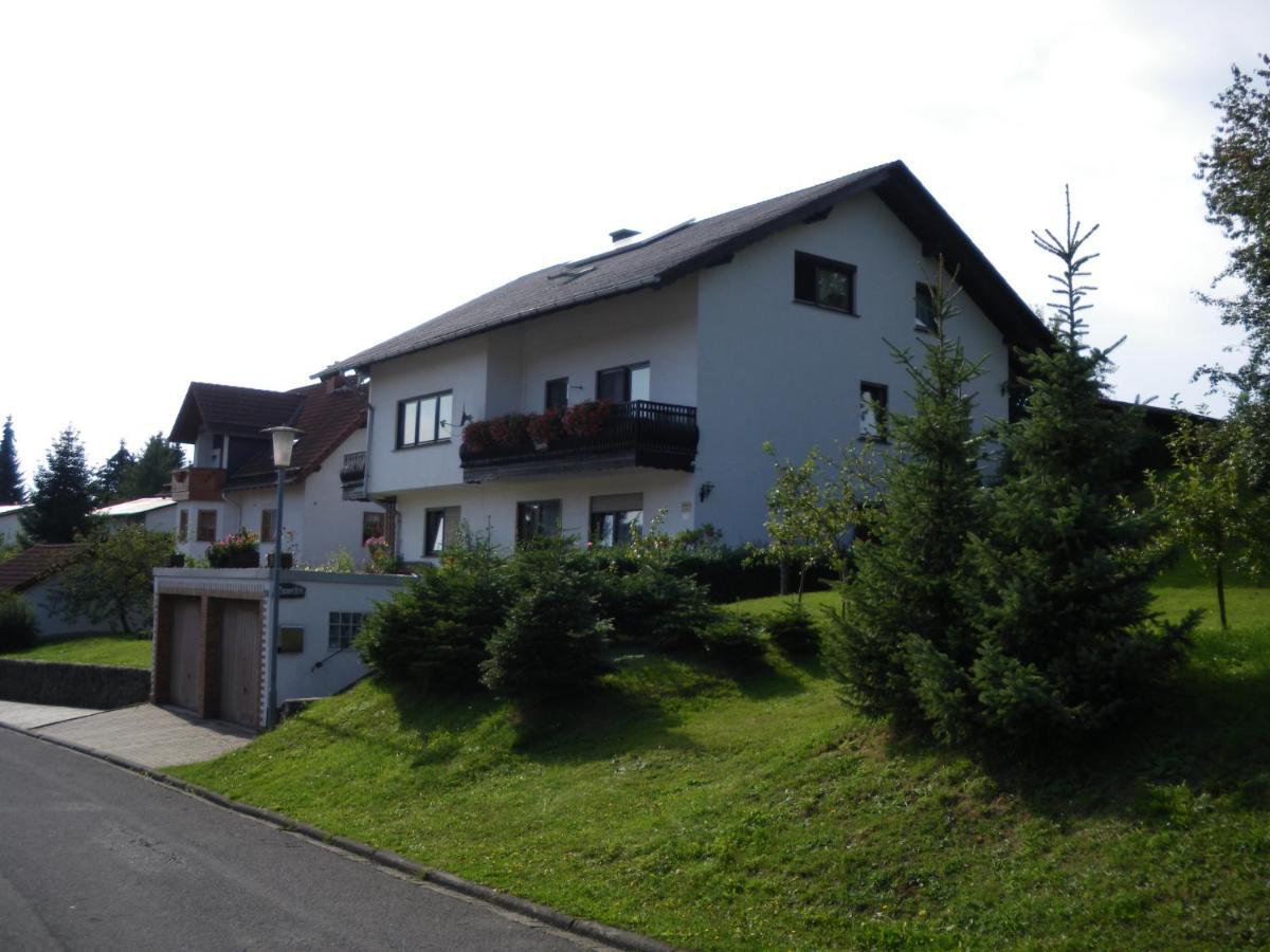 Pension Haus Ludwig ショッテン エクステリア 写真